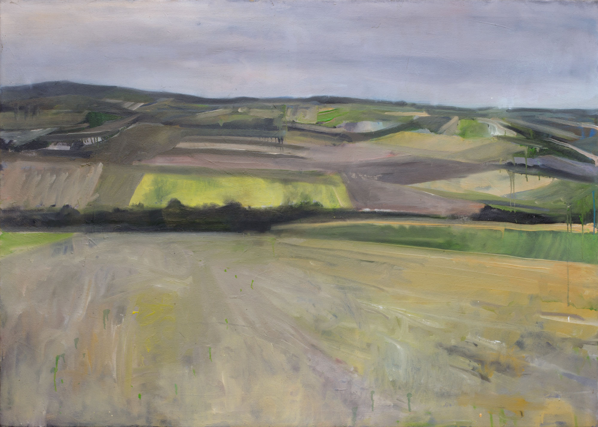 Felder, painted by Manuel Strasser in 2012, Öl on Leinwand 140cm wide and 100cm high