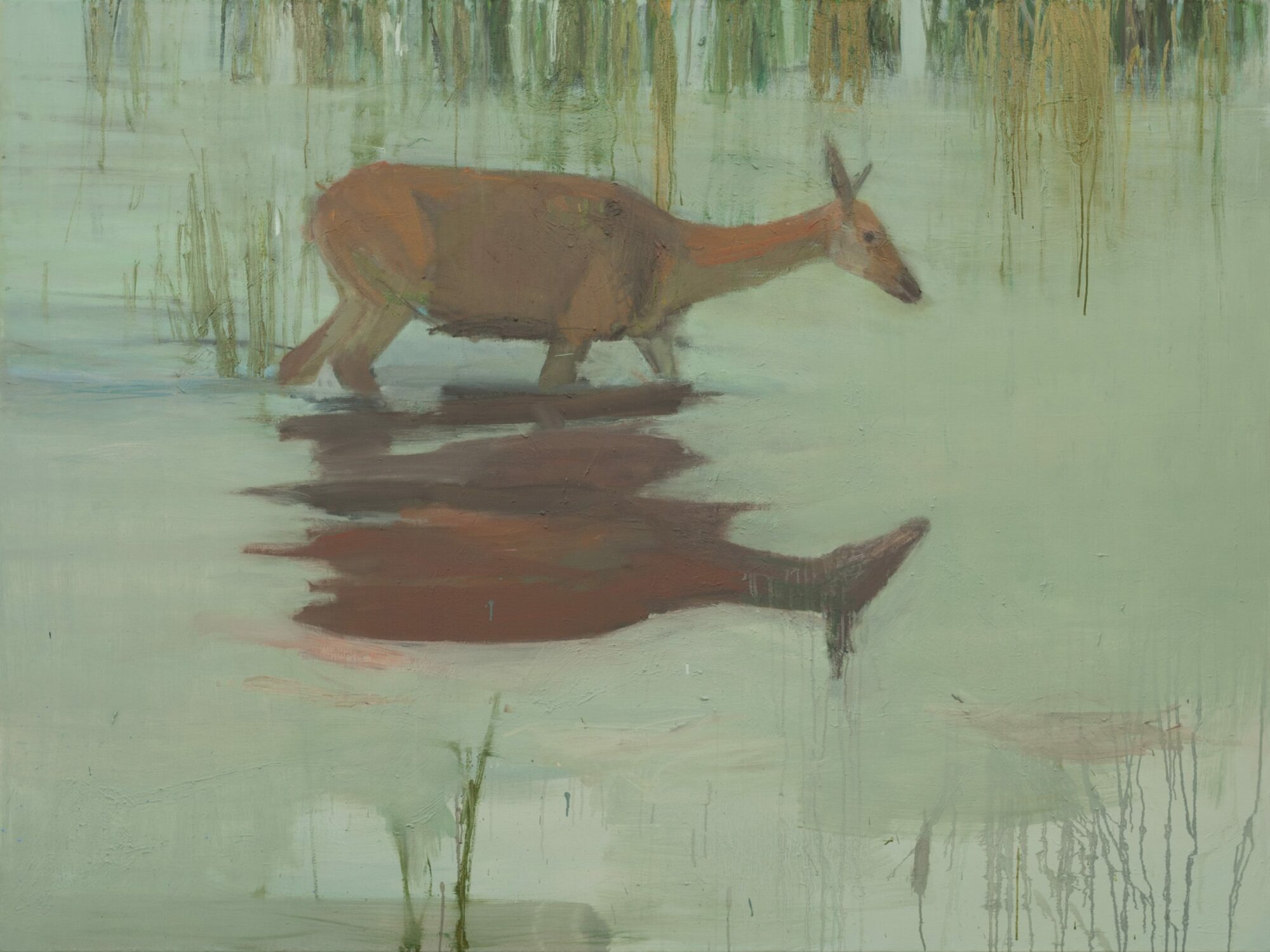 Reh, painted by Manuel Strasser in 2018, Öl on Leinwand 200cm wide and 150cm high