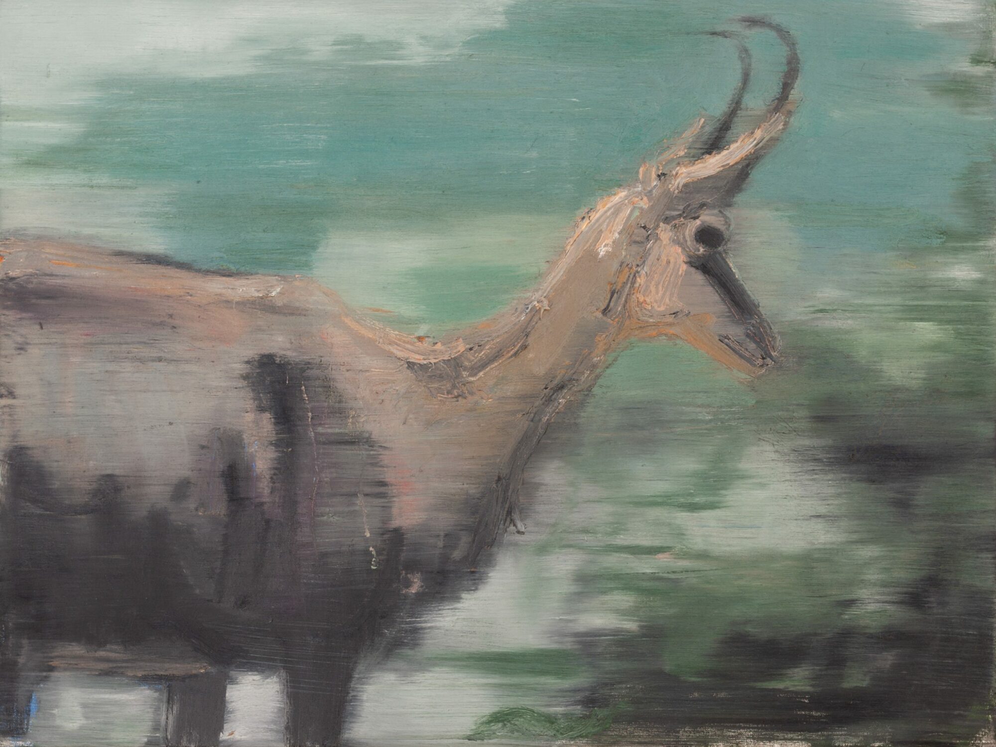 Gämse, painted by Manuel Strasser in 2020, Öl on Leinwand 80cm wide and 60cm high