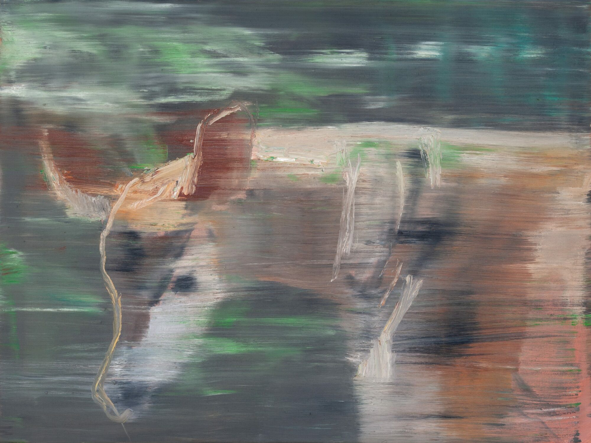 Okapi, painted by Manuel Strasser in 2020, Öl on Leinwand 80cm wide and 60cm high