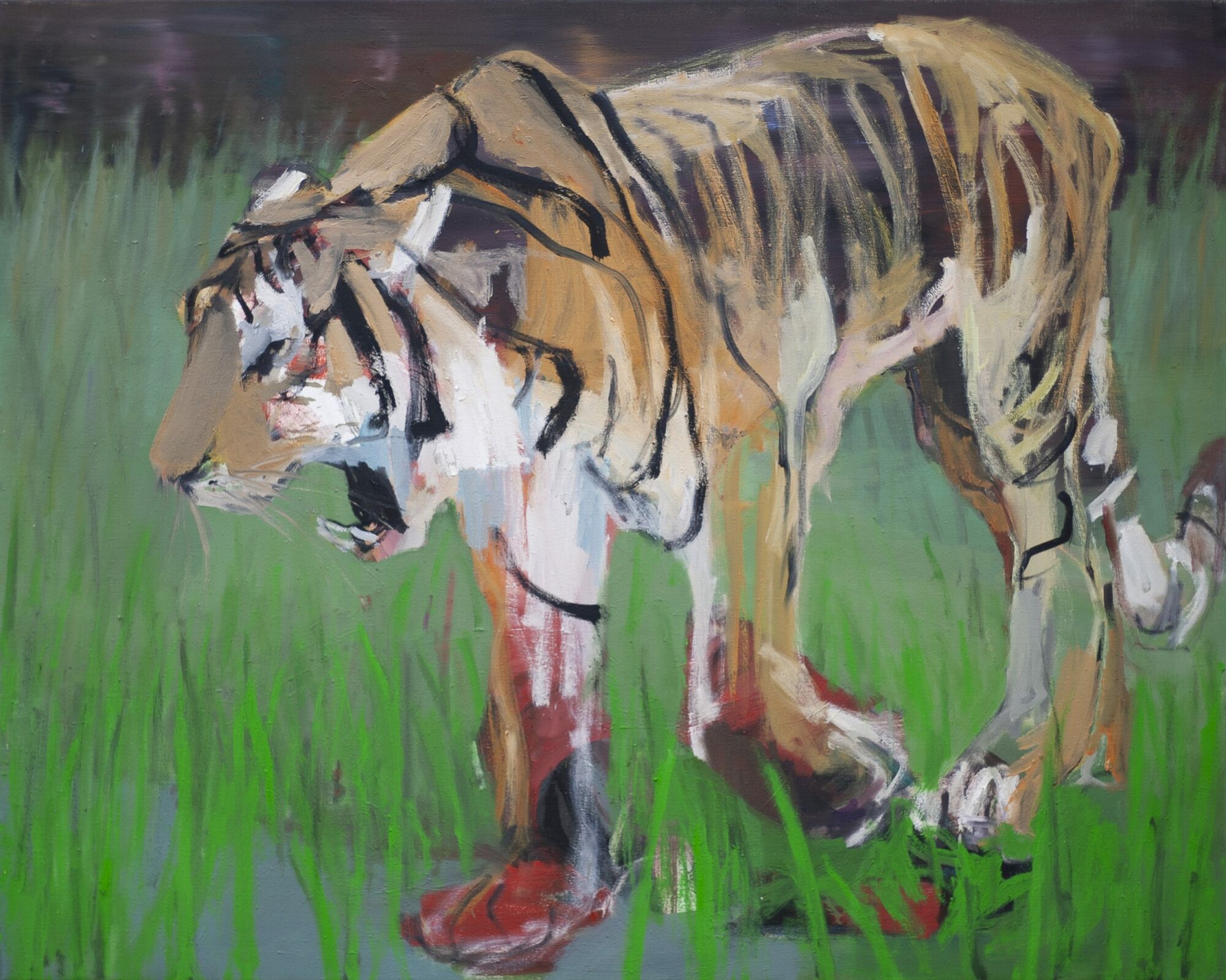 Tiger, painted by Manuel Strasser in 2021, Öl on Leinen 150cm wide and 120cm high