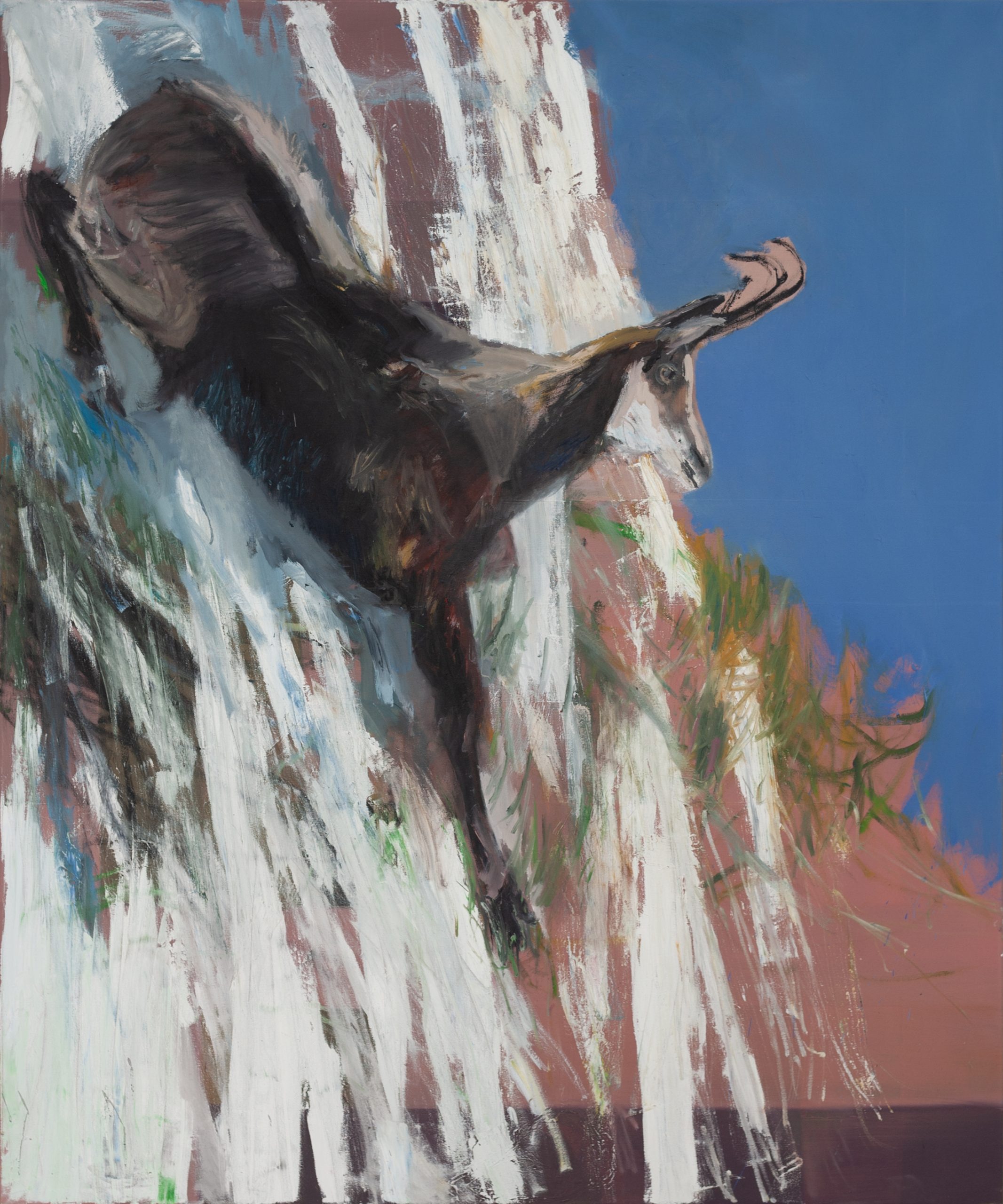 Gämse Nr.2, painted by Manuel Strasser in 2022, Öl on Leinen 150cm wide and 180cm high