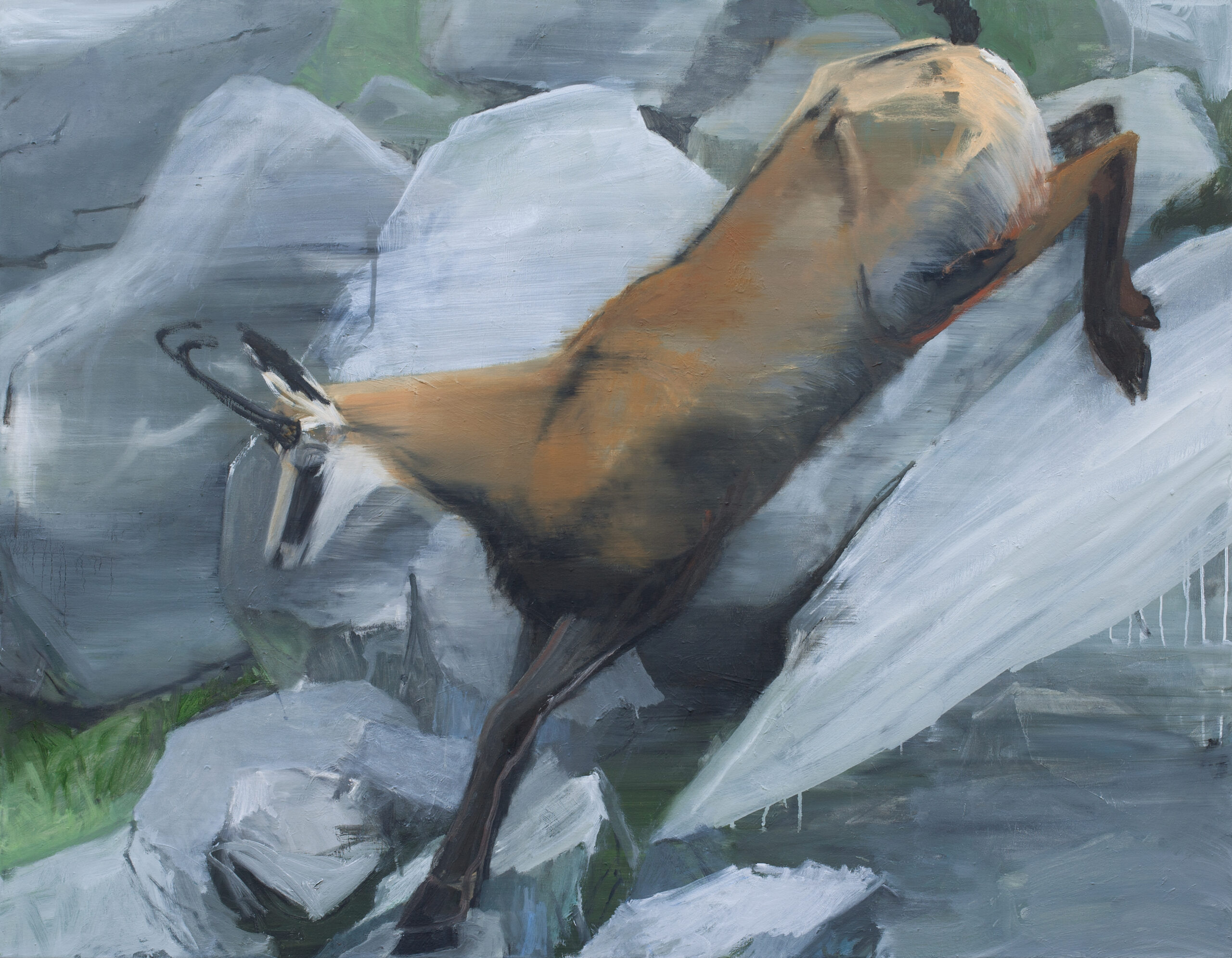 Gämse Nr.5, painted by Manuel Strasser in 2024, Öl on Leinwand 180cm wide and 140cm high